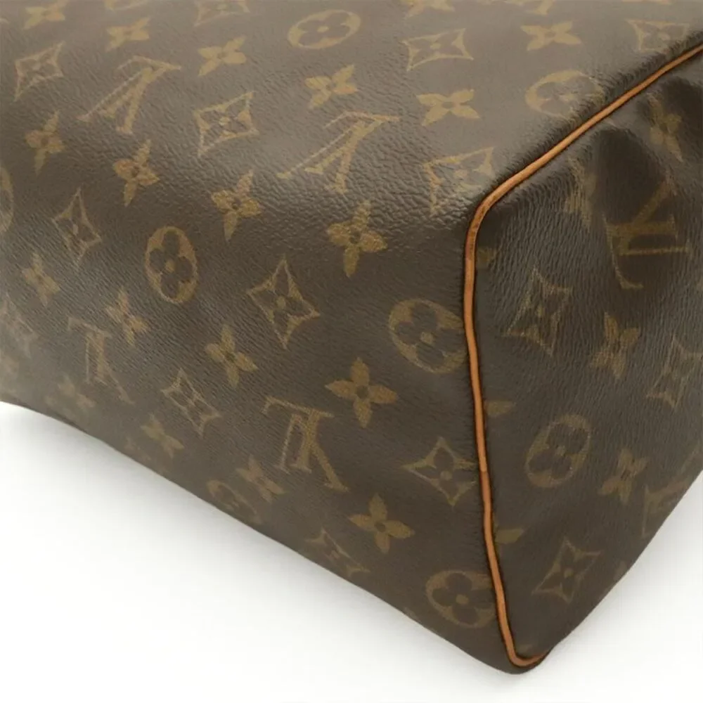 Louis Vuitton Speedy 25 Monogram Handbag